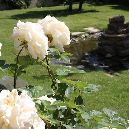 Villa Mencia Corullon Bagian luar foto